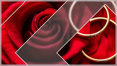 Dynamic Parallax Styles and Transitions