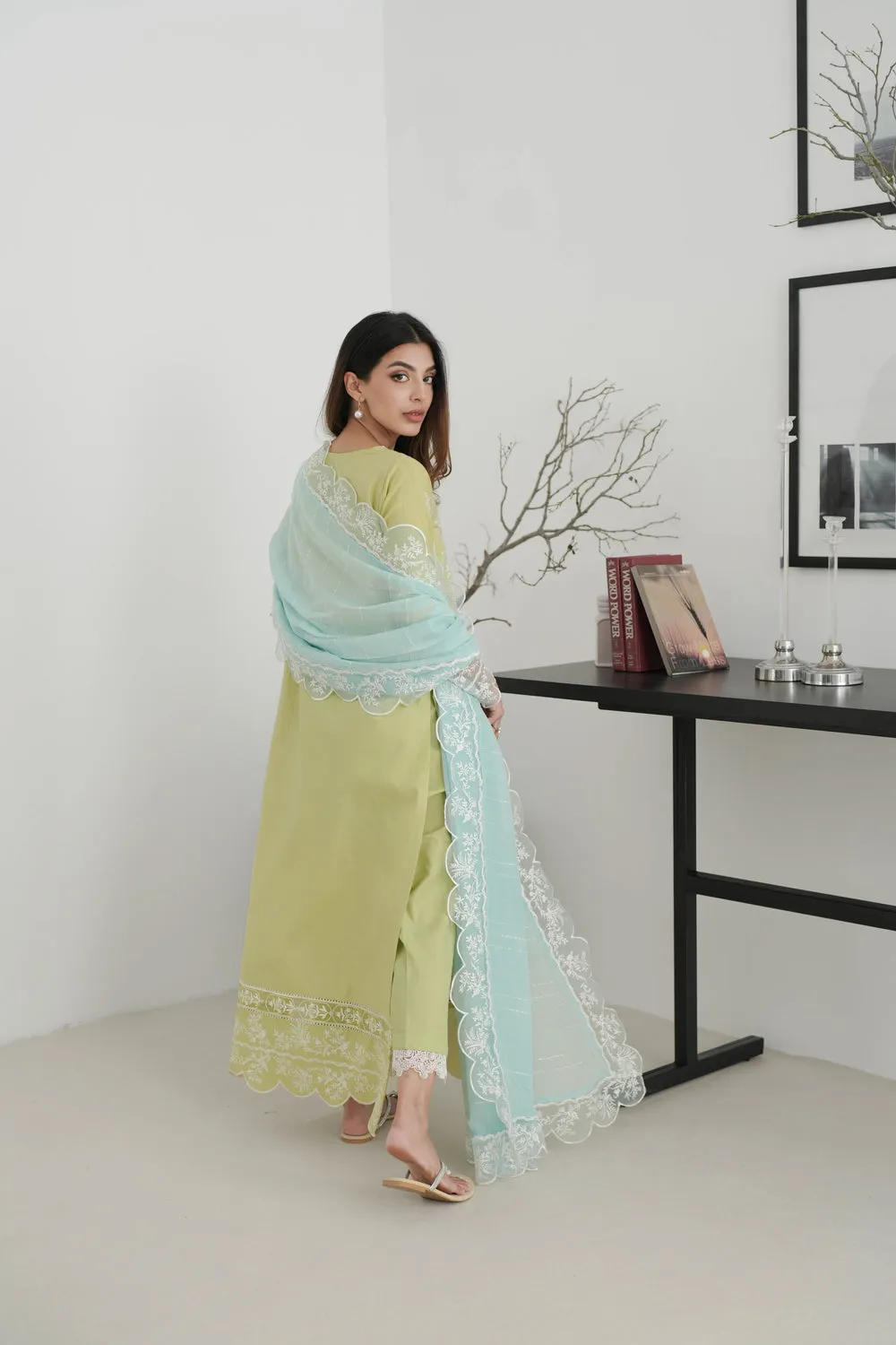 Eid Ul Azha '24 - Pistachio Nel-24620